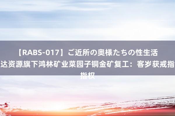 【RABS-017】ご近所の奥様たちの性生活 盛达资源旗下鸿林矿业菜园子铜金矿复工：客岁获戒指权