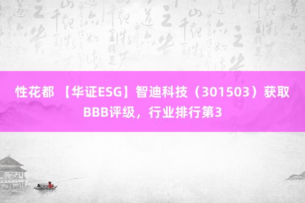 性花都 【华证ESG】智迪科技（301503）获取BBB评级，行业排行第3