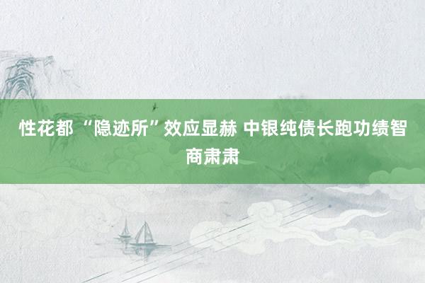 性花都 “隐迹所”效应显赫 中银纯债长跑功绩智商肃肃