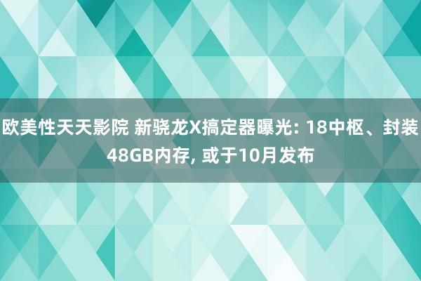 欧美性天天影院 新骁龙X搞定器曝光: 18中枢、封装48GB内存， 或于10月发布