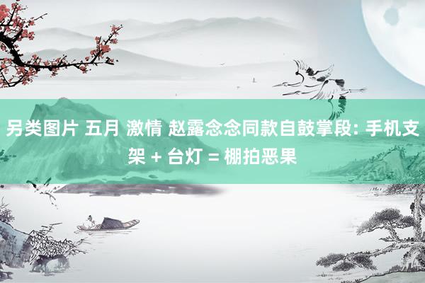 另类图片 五月 激情 赵露念念同款自鼓掌段: 手机支架 + 台灯 = 棚拍恶果
