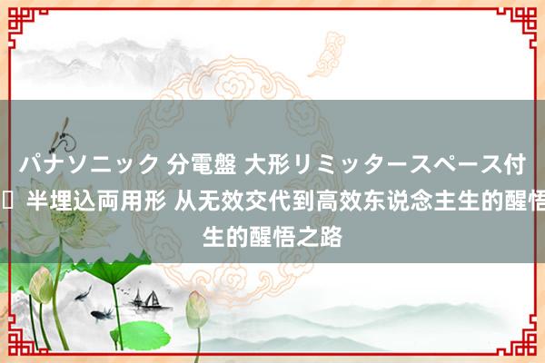 パナソニック 分電盤 大形リミッタースペース付 露出・半埋込両用形 从无效交代到高效东说念主生的醒悟之路