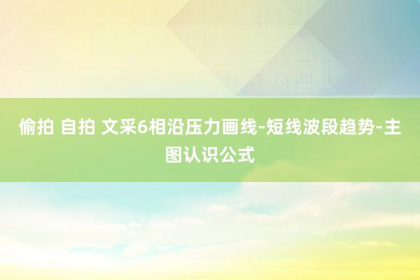 偷拍 自拍 文采6相沿压力画线-短线波段趋势-主图认识公式