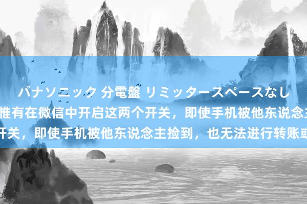 パナソニック 分電盤 リミッタースペースなし 露出・半埋込両用形 惟有在微信中开启这两个开关，即使手机被他东说念主捡到，也无法进行转账或